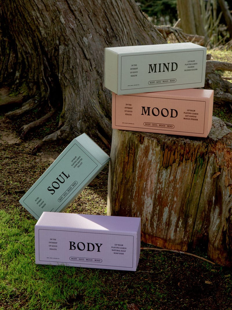 Mind, Mood, Soul, Body boxes