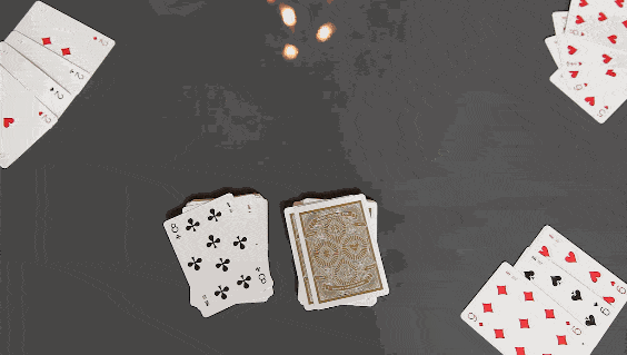 Rummy Step 8
